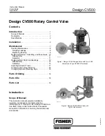 Fisher-Rosemount Design CV500 Instruction Manual preview