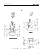 Предварительный просмотр 39 страницы Fisher EWD Series Instruction Manual