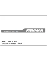 Fishman AFX DELAY Manual preview