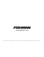 Preview for 4 page of Fishman ELLIPSE VT - User Manual