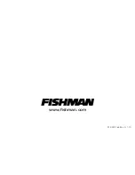 Предварительный просмотр 4 страницы Fishman Isys III User Manual