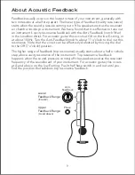 Preview for 9 page of Fishman LOUDBOX ARTIST User Manual