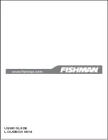 Fishman Loudbox Mini User Manual preview