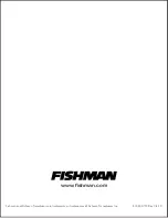 Предварительный просмотр 12 страницы Fishman Loudbox Mini User Manual