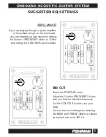 Предварительный просмотр 5 страницы Fishman PREFIX - ANNEXE 600 Manual