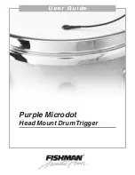 Preview for 1 page of Fishman PURPLE MICRODOT Manual