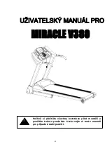 Preview for 31 page of FitLogic Miracle V380 Owner'S Manual