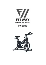 FITWAY FW-500IC User Manual preview
