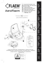 Flaem AeroFlaem Instructions For Use Manual preview