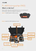 Preview for 4 page of FLAIM Systems Extinguisher User Manual