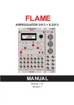 Flame APREGGIATOR X-2013 Manual предпросмотр