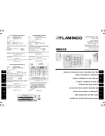 Предварительный просмотр 1 страницы Flamingo HA31S User Manual