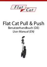 Flat Cat Pull & Push User Manual preview