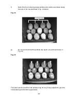 Предварительный просмотр 29 страницы Flavel Diamond HE Installation, Maintenance & User Instructions