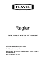 Flavel Raglan Installation And Maintenance Instructions Manual preview