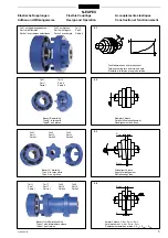 Предварительный просмотр 5 страницы FLENDER N-EUPEX Manual