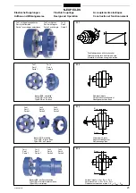 Предварительный просмотр 23 страницы FLENDER N-EUPEX Manual