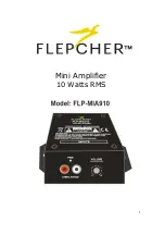 Preview for 2 page of Flepcher FLP-MIA910 Quick Start Manual