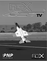 Flex FLEXJET TV SUPER PNP Instruction Manual preview