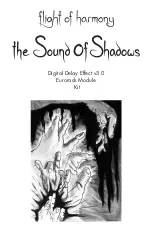 Preview for 1 page of flight of harmony The Sound Of Shadows Quick Start Manual