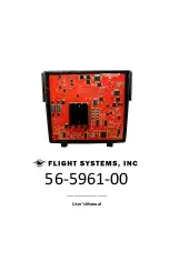 Flight Systems 56-5961-00 User Manual preview