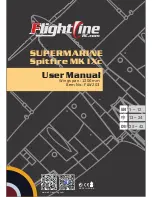 Предварительный просмотр 1 страницы Flightline FLW203 User Manual