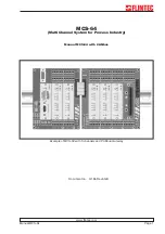 Flintec MCS-64 Manual предпросмотр