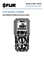 Предварительный просмотр 1 страницы FLIR DM284 Quick Start Manual