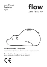 Flow Amsterdam 1695027 User Manual preview