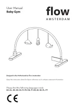 Flow Amsterdam 1725027 User Manual preview