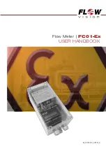 Flow vision CST-Ex User Handbook Manual preview