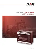 Flow vision FC 01- CA User Manual preview