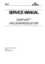 Preview for 1 page of Flowmeter EASYVAC Service Manual