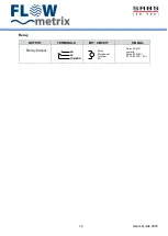 Preview for 13 page of FLOWmetrix SAFMAG ACP HI-PULS METER Installation & Operation Instructions