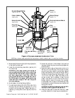 Preview for 3 page of Flowserve Valtek CavControl Trim Installation, Operation & Maintenance Instructions