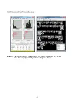 Предварительный просмотр 41 страницы Fluid Imaging Technologies FlowCAM Manual