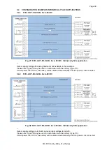 Preview for 39 page of Fluidwell F013-A Manual