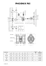 Preview for 14 page of fluimac P07 User Manual