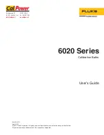 Fluke Calibration 6020 Series User Manual preview