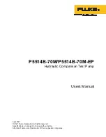 Предварительный просмотр 1 страницы Fluke Calibration P5514B-70M User Manual