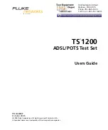 Предварительный просмотр 1 страницы Fluke TS 1200 User Manual