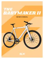 Preview for 1 page of FLX BABYMAKER II Owner'S Manual