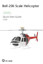 Fly Wing Bell 206 Quick Start Manual preview