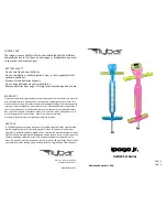 Flybar ipogo jr. Owner'S Manual preview