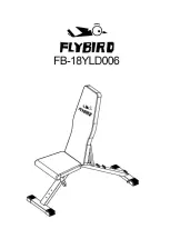 FLYBIRD FB-18YLD006 Quick Start Manual preview