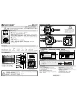 Предварительный просмотр 1 страницы Flycolor Raptor S-Tower F4-20A User Manual