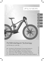 Flyer Intelligent Technology Panasonic Instructions Manual preview