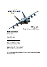 FLYFANS MiG-25 Manual preview