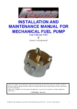 Flygas F.050 Installation And Maintenance Manual предпросмотр