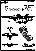 FlyingDutchmanPlans Goose V2 Manual предпросмотр